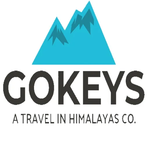 GoKeys Logo