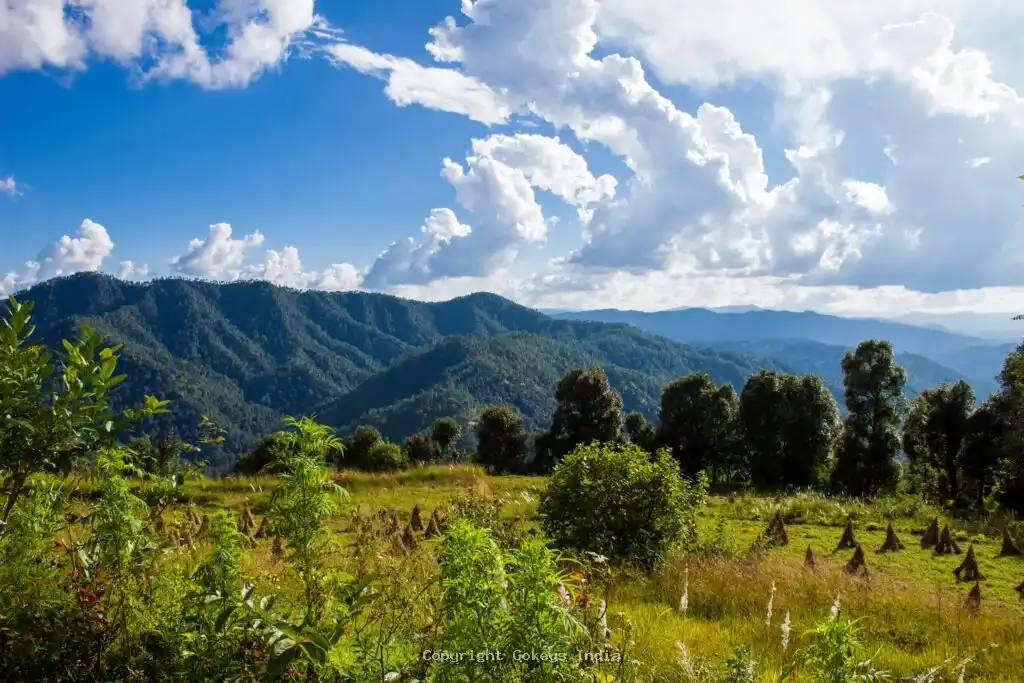 Zero Point Binsar