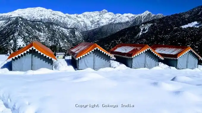 the-meadows-chopta-valley-camps