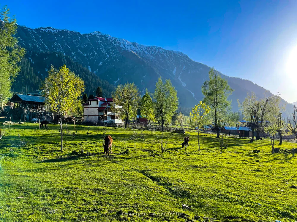 Pahalgam