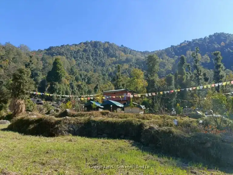 eco-resort-chopta-valley