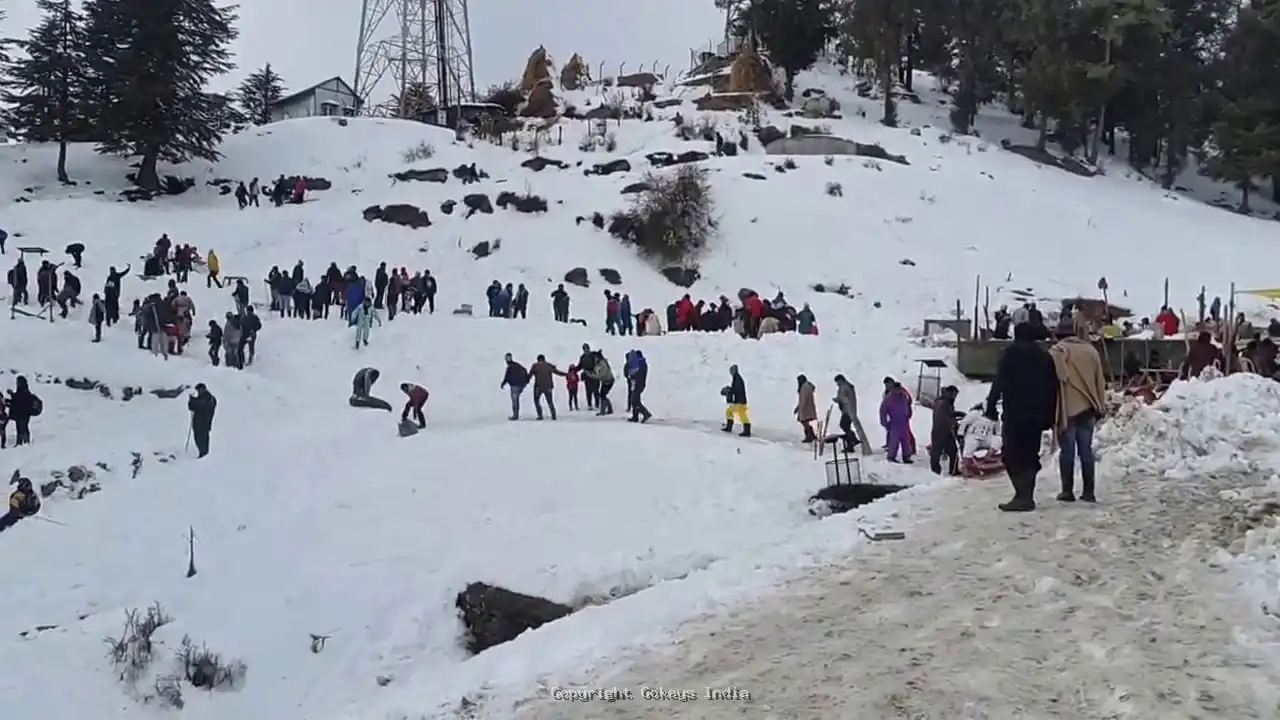 Kufri Shimla